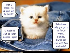 Squee Financial Purrtekshun: Nom Time