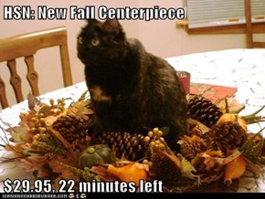 HSN: New Fall Centerpiece  $29.95, 22 minutes left