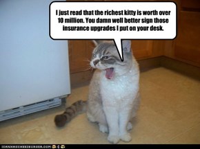 I just read that the richest kitty