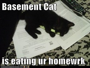 Basement Cat  is eating ur homewrk