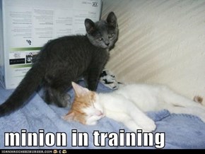 minion in training