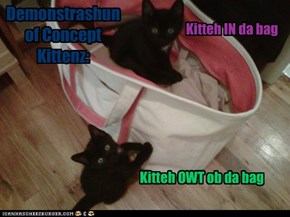 Demonstrashun of Concept Kittenz: