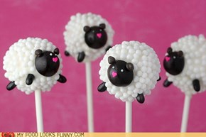 These lollipops are making me feel sheepish