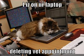 I iz on ur laptop  deleting vet appointmunt