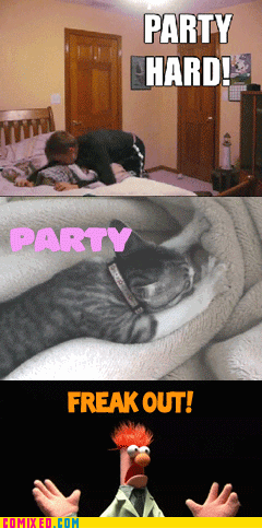 How Do You Party?