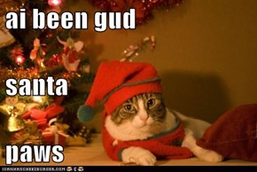 ai been gud santa paws