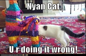 Nyan Cat  U r doing it wrong!
