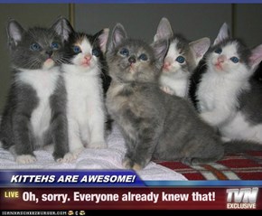 KITTEHS ARE AWESOME! - Oh, sorry. Everyone already knew that!