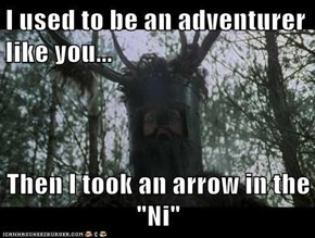 "I used to be an adventurer like you...  Then I took an arrow in the "Ni"