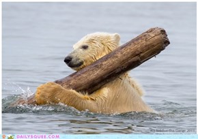 Acting Like Animals: Row, Row, Row Your Log!