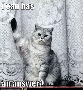 i can has  an answer?