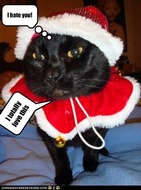 happe holida kitteh!