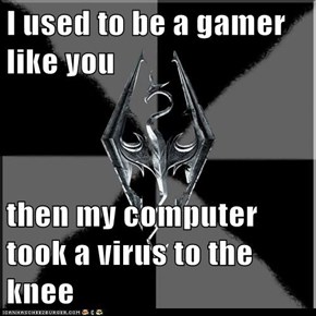 I used to be a gamer like you  then my computer took a virus to the knee
