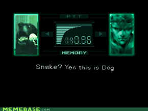 Yes, This is Snaaaaaaake
