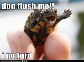 don flush me!!  i no turd