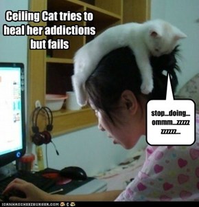 Ceiling Cat's advanced technics