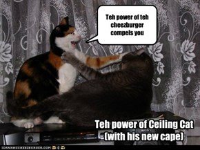 True Cheezburger power