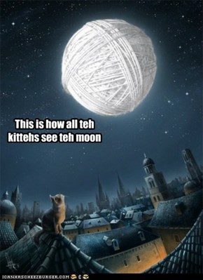 Nothing but a big ball of yarn
