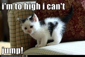 i'm to high i can't  jump!