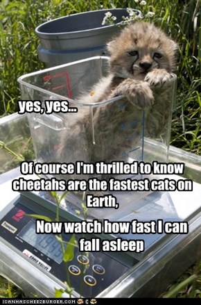 Faster than a speeding nap!