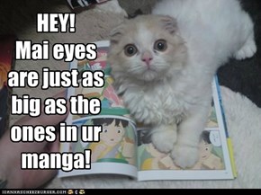 HEY!Mai eyes are just as big as the ones in ur manga!