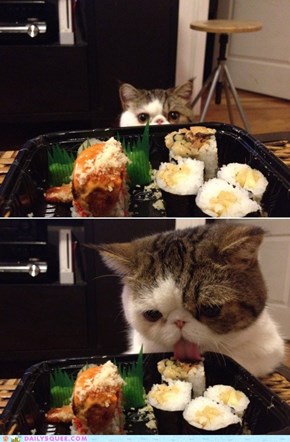 Acting Like Animals: I Claim This Sushi in the Name of ME!