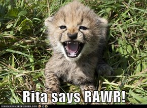 Rita says RAWR!