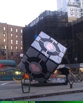 I Knew IRL Was Just the Hardest Level In Portal