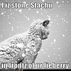 I iz stone Stachu   in frontz of ur lieberry