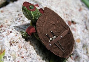 Ninja Turtle WIN