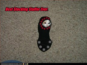Best Stocking Stuffer