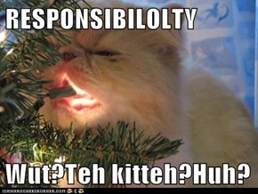 RESPONSIBILOLTY  Wut?Teh kitteh?Huh?