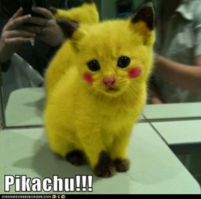 Pikachu!!!