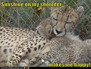 Sunshine on my shoulder  makes me happy!