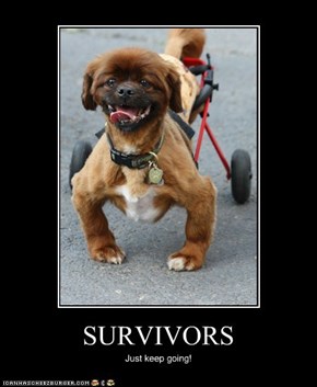More Survivors...