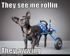 They see me rollin  They awwing