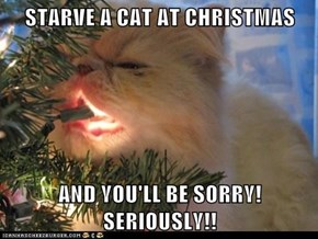 STARVE A CAT AT CHRISTMAS  AND YOU'LL BE SORRY!  SERIOUSLY!!