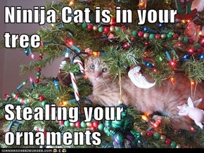 Ninija Cat is in your tree  Stealing your ornaments
