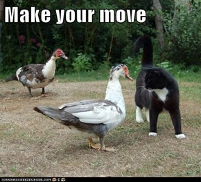 Make your move