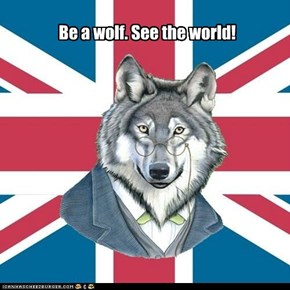 Be a wolf. See the world