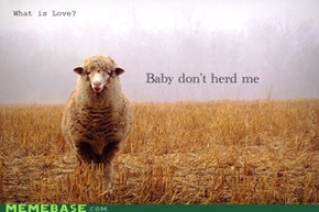 You're So Baaaaaaaaad....