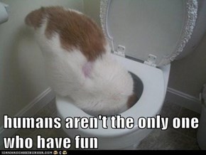humans aren't the only one who have fun