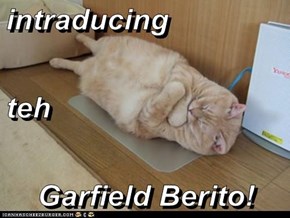 intraducing teh Garfield Berito!