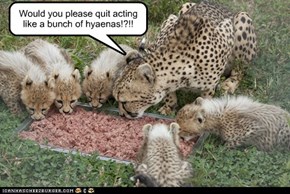 I'm Bannister the cheetah, not a hyaena!