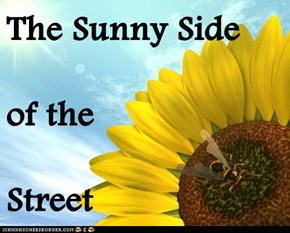 The Sunny Side of the  Street