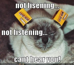 not lisening... not listening... cant hear you!