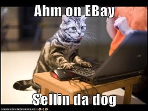 Ahm on EBay   Sellin da dog