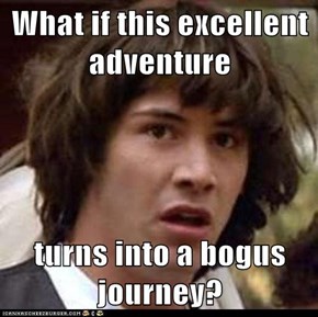 What if this excellent adventure  turns into a bogus journey?