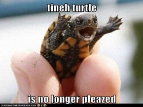 tineh turtle  is no longer pleazed
