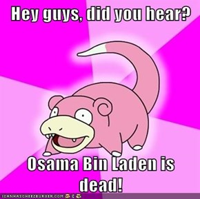 Hey guys, did you hear?  Osama Bin Laden is dead!